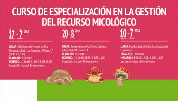 Cesefor impartirá en Soria, Burgos y Ávila sendos cursos de especialización en el recurso micológico