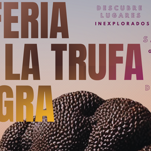 V feria Cogeces del Monte