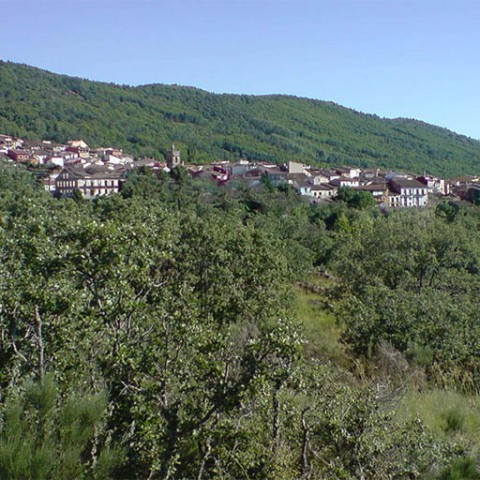 Foto cedida por www.puertodebejar.org en colaboración con el Ayto. de Puerto de Béjar